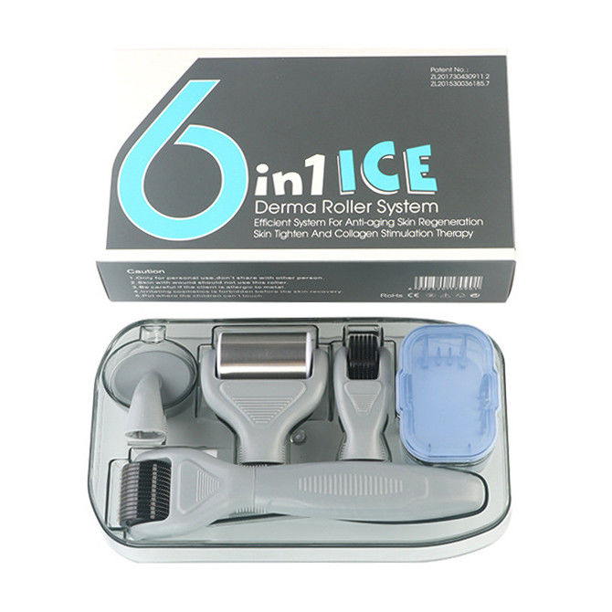 Professionele medische PC Handle Afneembare ICE Derma Roller 6 in 1 voor huidverjonging