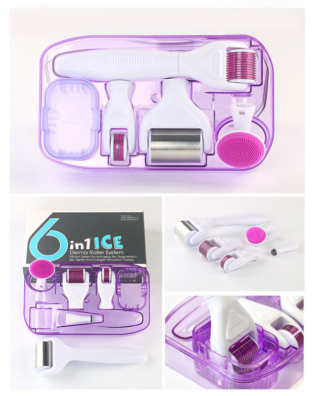 Professionele medische PC Handle Afneembare ICE Derma Roller 6 in 1 voor huidverjonging