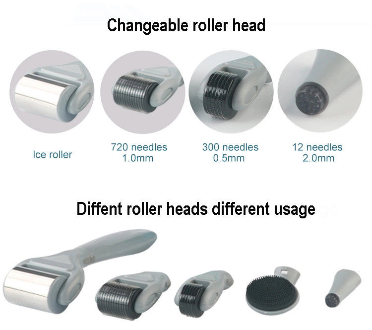 Professionele medische PC Handle Afneembare ICE Derma Roller 6 in 1 voor huidverjonging