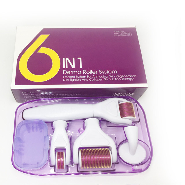 Derma rollen systeem en naald materiaal roestvrij staal / titanium 6 In 1 Derma Roller