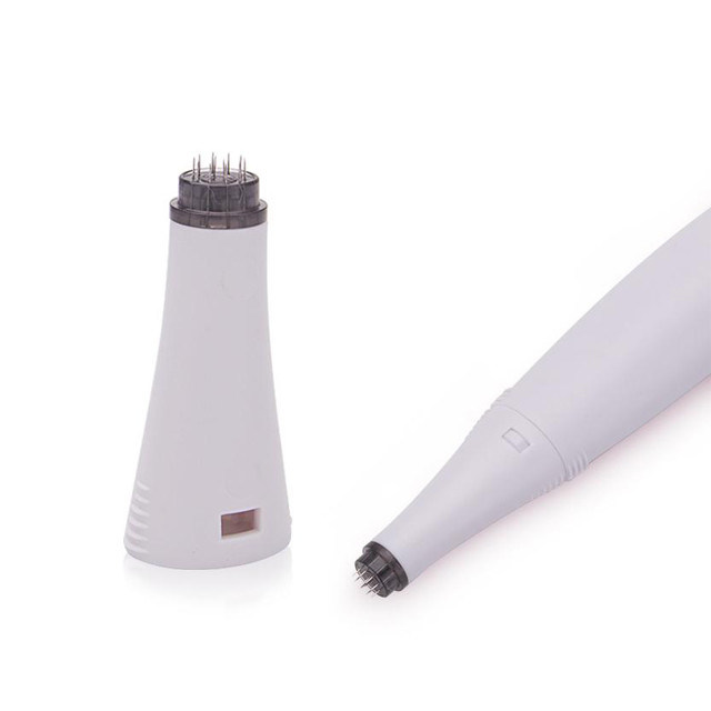 Derma rollen systeem en naald materiaal roestvrij staal / titanium 6 In 1 Derma Roller