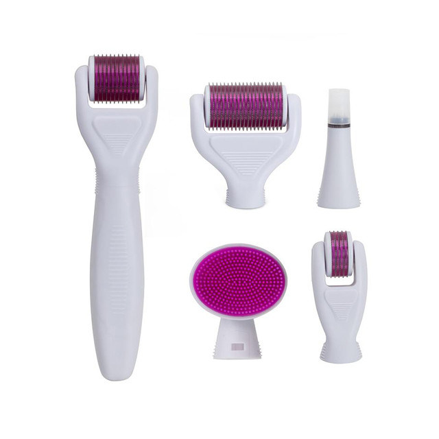 Derma rollen systeem en naald materiaal roestvrij staal / titanium 6 In 1 Derma Roller