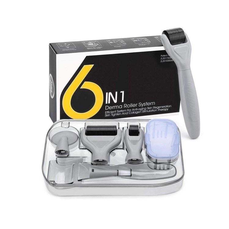 Derma rollen systeem en naald materiaal roestvrij staal / titanium 6 In 1 Derma Roller