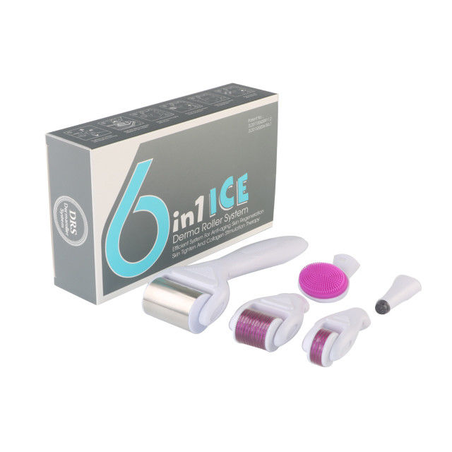 6 in 1 Derma Roller Kit met Ice Roller Huidkoeling Derma Care Gezichtsverzorging GEEN Plugs Type