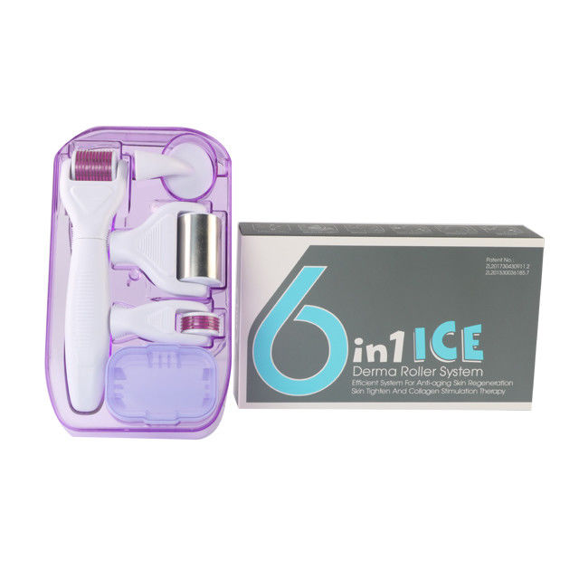 6 in 1 Derma Roller Kit met Ice Roller Huidkoeling Derma Care Gezichtsverzorging GEEN Plugs Type