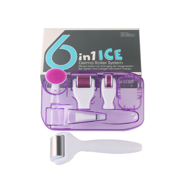 6 in 1 Derma Roller Kit met Ice Roller Huidkoeling Derma Care Gezichtsverzorging GEEN Plugs Type