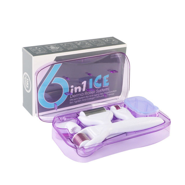 6 in 1 Derma Roller Kit met Ice Roller Huidkoeling Derma Care Gezichtsverzorging GEEN Plugs Type