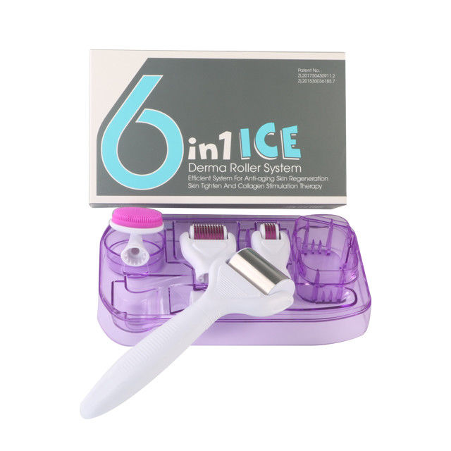 6 in 1 Derma Roller Kit met Ice Roller Huidkoeling Derma Care Gezichtsverzorging GEEN Plugs Type